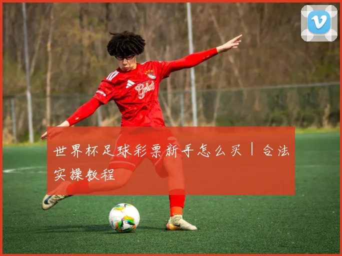 世界杯足球彩票新手怎么买｜合法实操教程