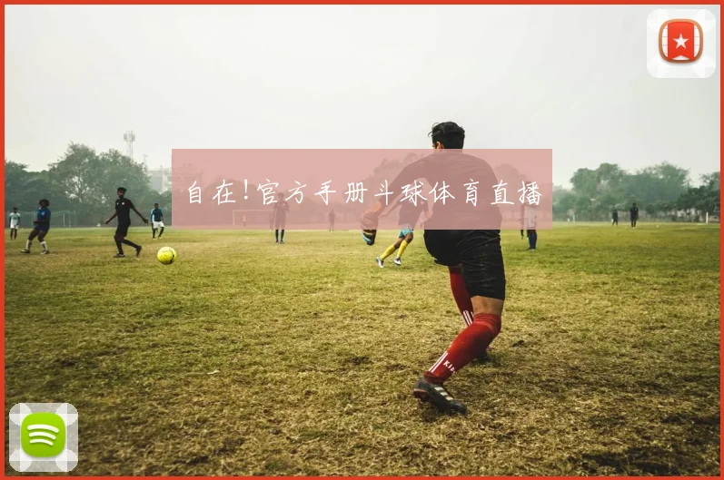 自在!官方手册斗球体育直播