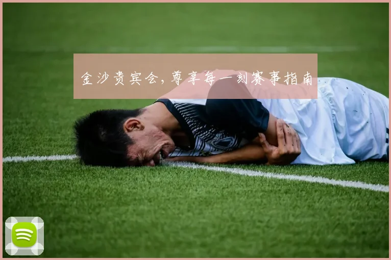 金沙贵宾会,尊享每一刻赛事指南
