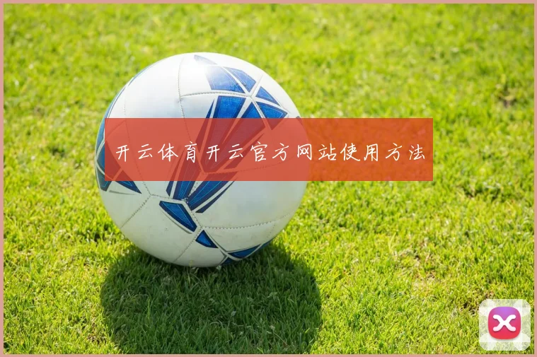 开云体育开云官方网站使用方法