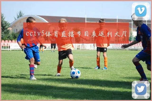 cctv5体育直播节目表返利大厅
