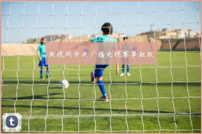 央视网中央广播电视赛事狂欢