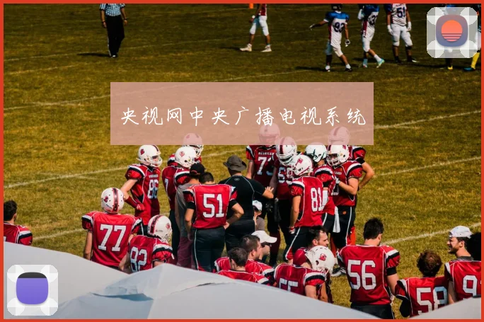 央视网中央广播电视系统