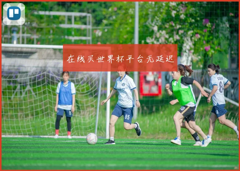 在线买世界杯平台无延迟