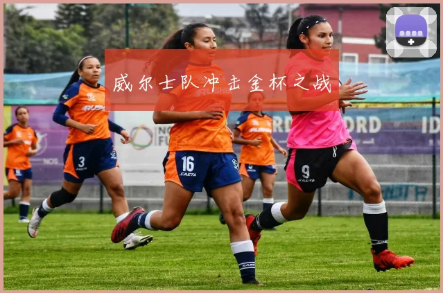 威尔士队冲击金杯之战