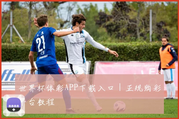 世界杯体彩APP下载入口｜正规购彩平台教程