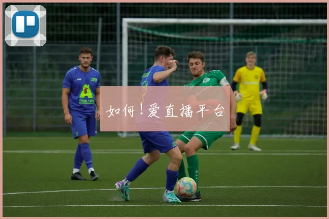 如何!爱直播平台