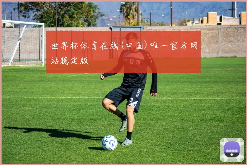 世界杯体育在线(中国)唯一官方网站稳定版