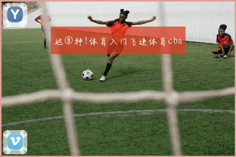 这⑧种!体育入门飞速体育cba