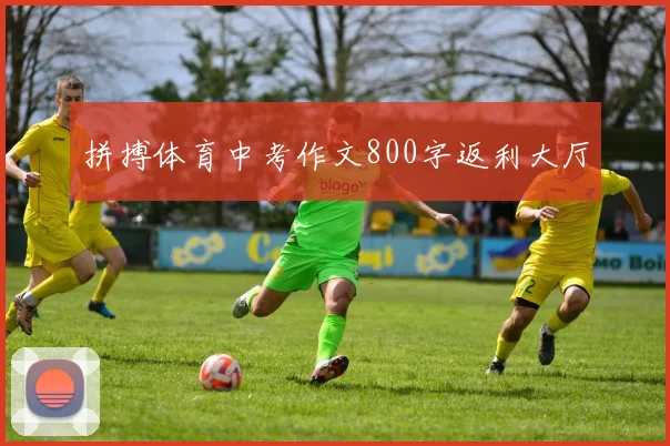 拼搏体育中考作文800字返利大厅