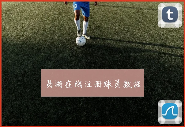 易游在线注册球员数据