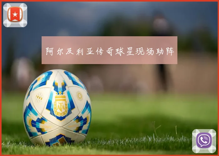 阿尔及利亚传奇球星现场助阵
