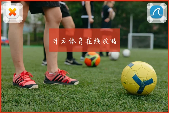 开云体育在线攻略