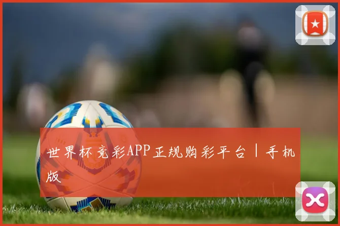 世界杯竞彩APP正规购彩平台｜手机版