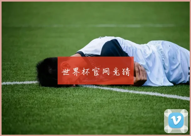 世界杯官网竞猜