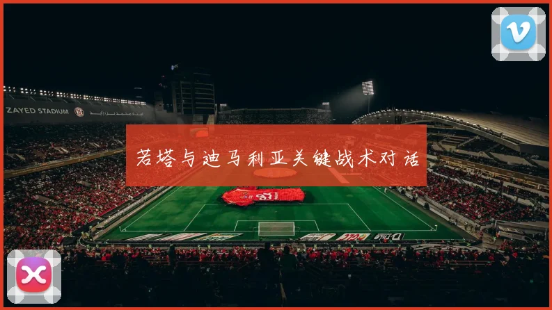 若塔与迪马利亚关键战术对话