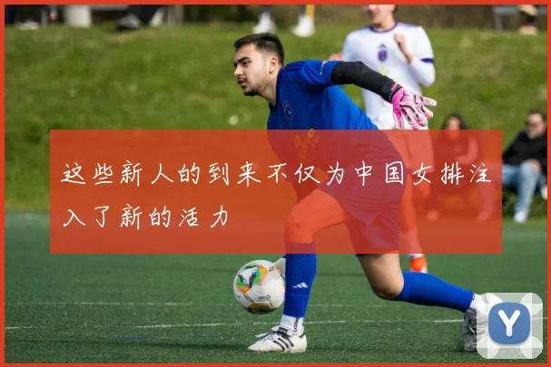 这些新人的到来不仅为中国女排注入了新的活力