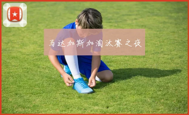 马达加斯加淘汰赛之夜