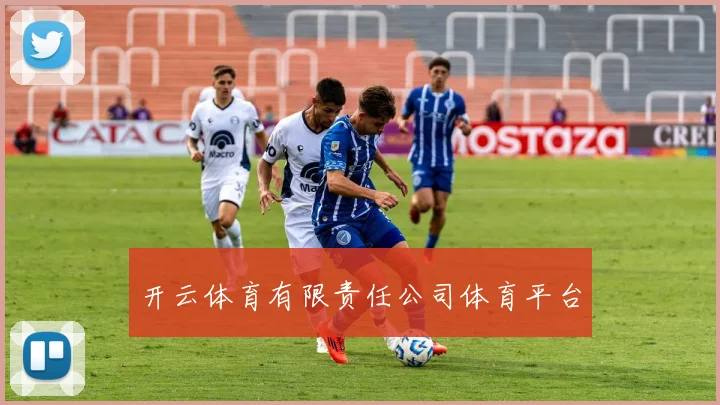 开云体育有限责任公司体育平台