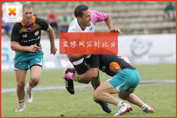 装修网实时比分