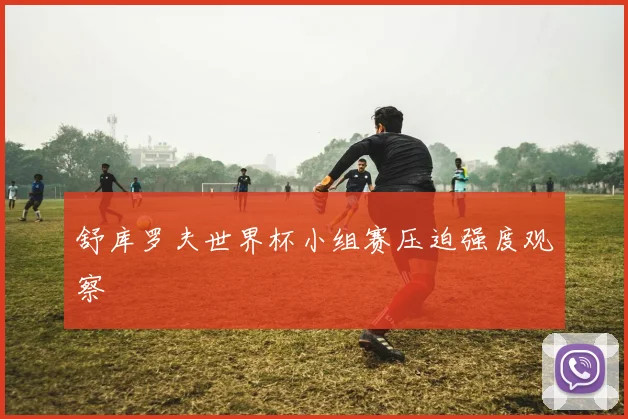 舒库罗夫世界杯小组赛压迫强度观察