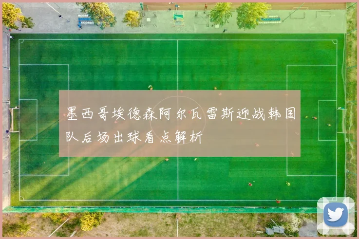 墨西哥埃德森阿尔瓦雷斯迎战韩国队后场出球看点解析