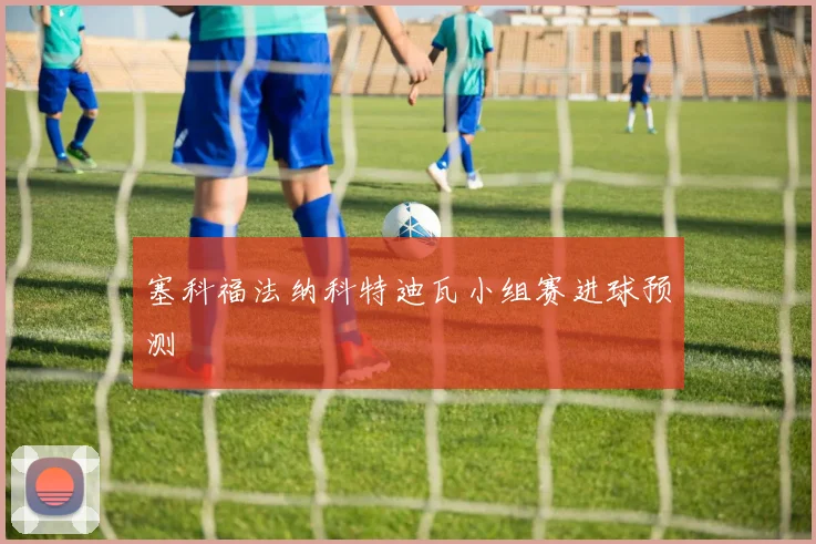塞科福法纳科特迪瓦小组赛进球预测
