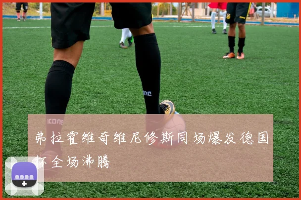 弗拉霍维奇维尼修斯同场爆发德国杯全场沸腾