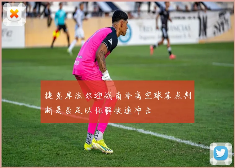 捷克库法尔迎战南非高空球落点判断是否足以化解快速冲击